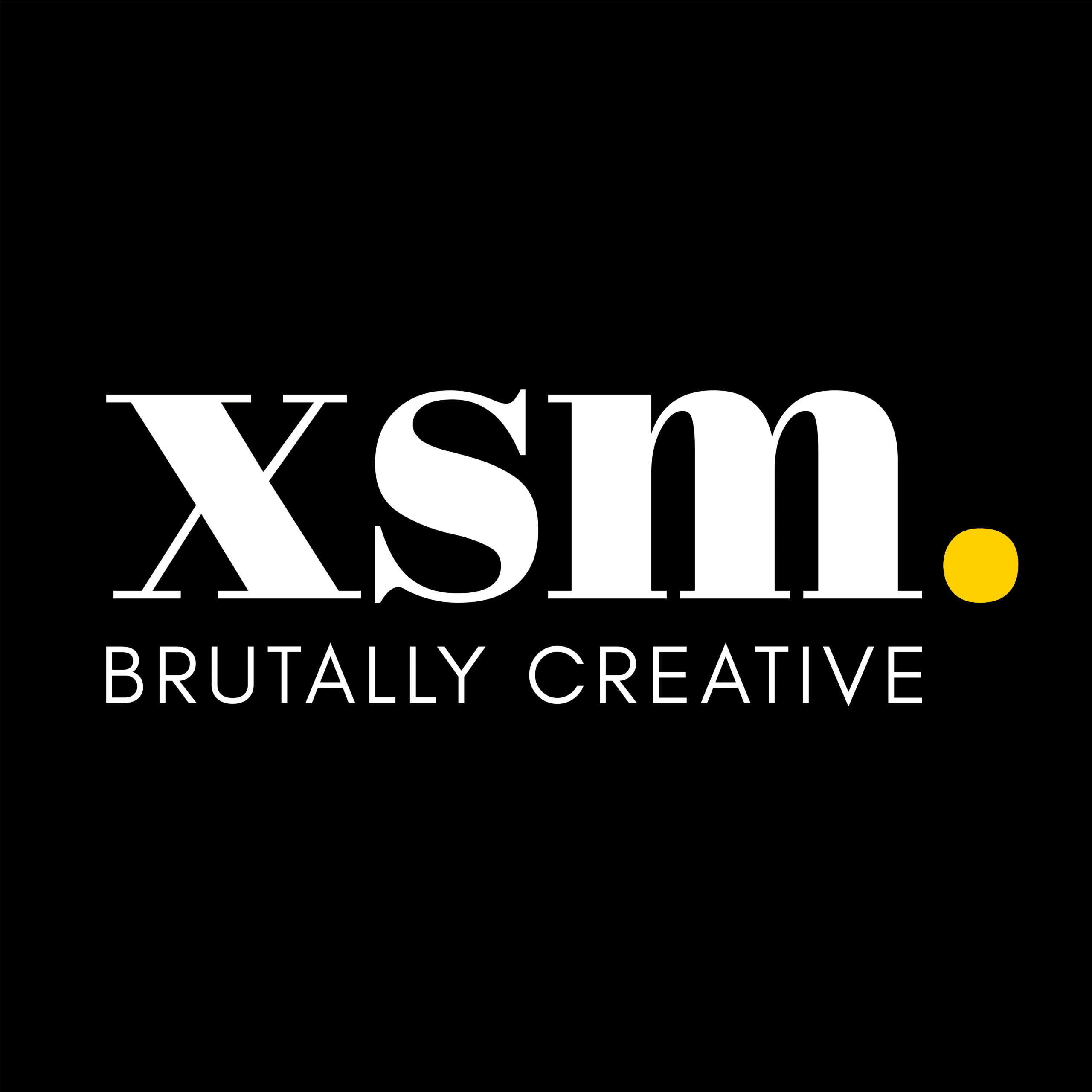 XS Multimedia