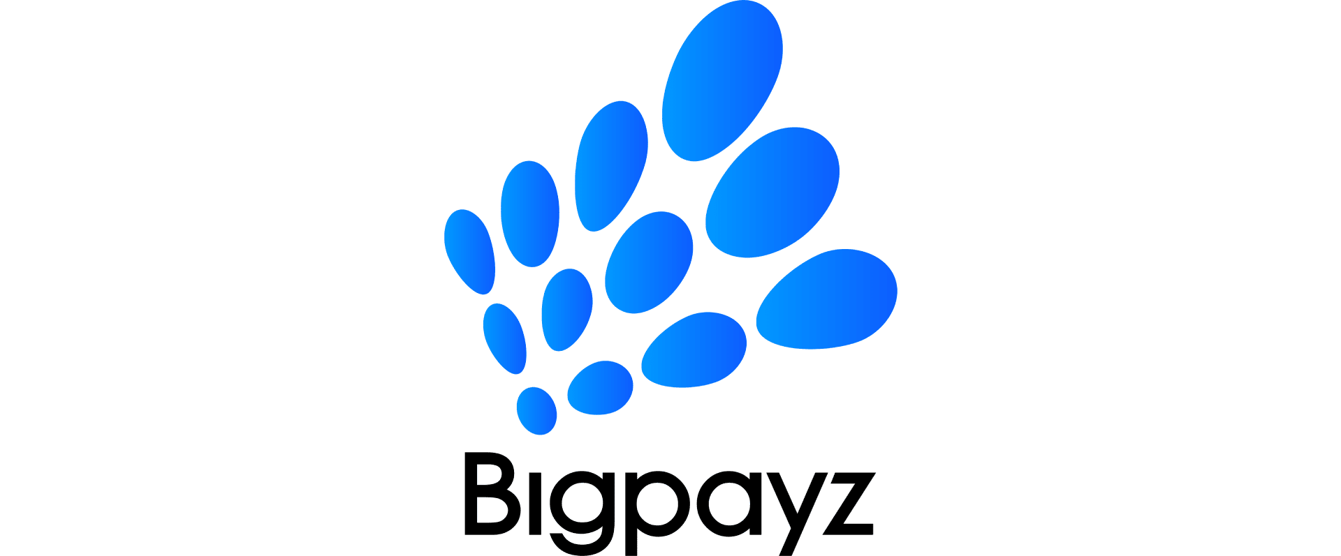 Bigpayz